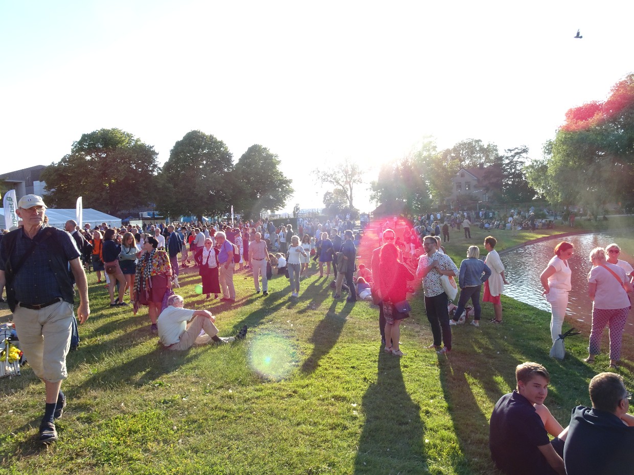 Bild: Almedalen. Foto: Lovisa Almborg
